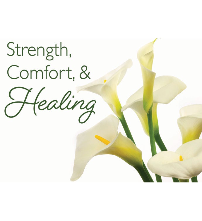 Packed With Pop® Strength Comfort Healing